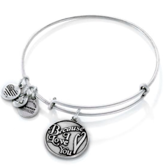 Alex and Ani "Because I Love You" Charm Bangle in Silver-Tone Brass - Picture 1 of 2